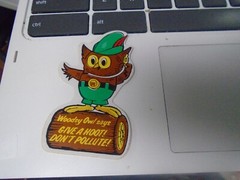 Vintage Woodsy Owl Sticker Decal Give A Hoot Don’t Pollute Unused USDA Forest
