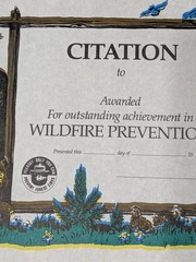 Vintage Smokey Bear Wildfire Prevention Citation Award Certificate Blank USFS