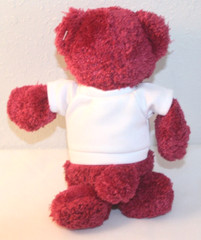 Group of 5 United States Post Office Plush Stamp Bears