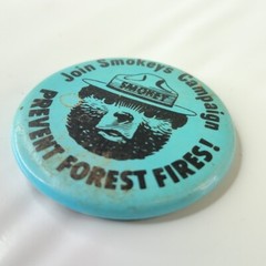 Smokey The Bear Prevent Forest Fires! Join Smokey’s Campaign Pin Button NOS New