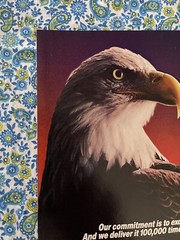 Vintage 1985 USPS United States Postal Service Express Mail Print Ad Eagle