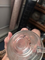 United States Postal Service Us Mail Employee Award Clear Mug Glass Lot Of 2