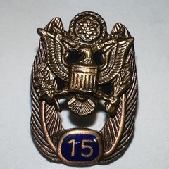 Vintage US Government or Military 15 Year Employee Service Award Tie Tack
