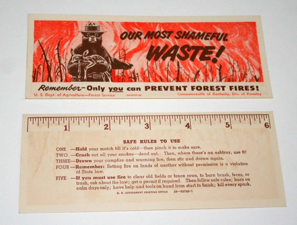 Vtg 1960s Kentucky Forestry Smokey The Bear Fire Prevention Paper Ruler New NOS