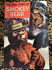 The True Story Of Smokey Bear Comic Book Vintage Original 1969