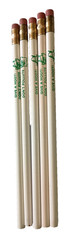 5 Vtg Woodsy The Owl Give A Hoot Don’t Pollute Pencils NOS