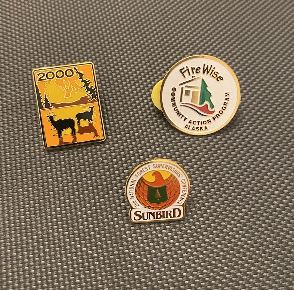 Lot Of 3 Prevent Wildfire Wild Fire – Forest Service Firewise Pin NOS