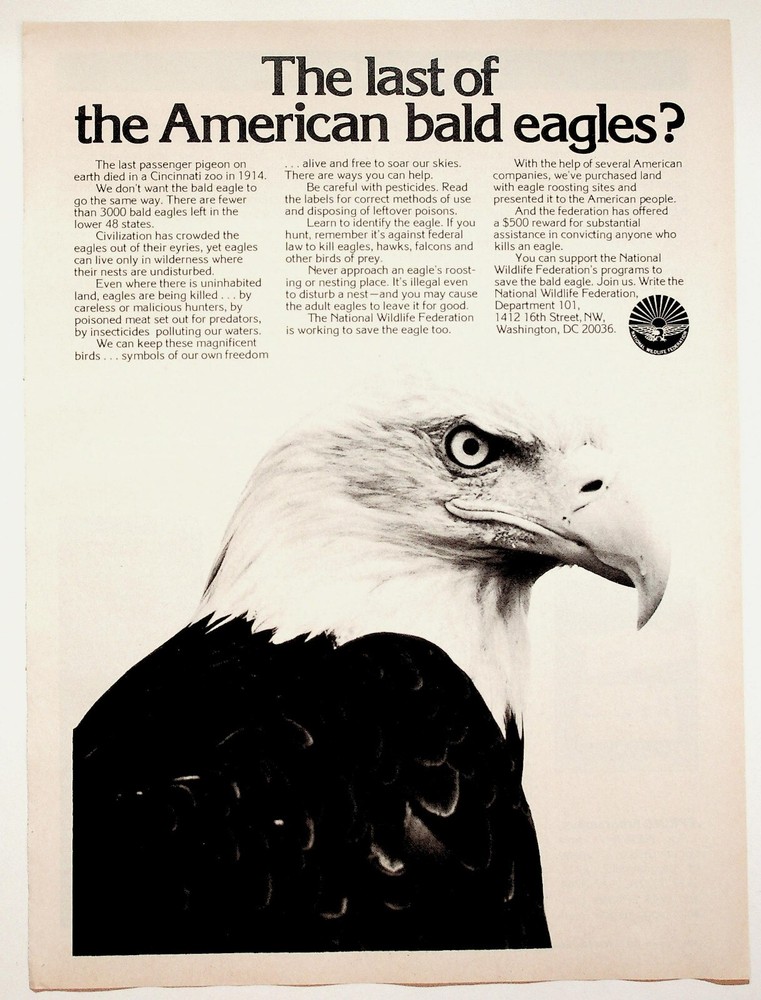 1983 Bald Eagle National Wildlife Federation – Vintage Ad