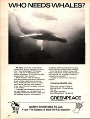 Vintage Greenpeace 1978 Print Ad Ephemera Wall Art Decor Who Needs Whales