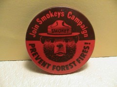 JOIN SMOKEY BEAR SMOKEYS CAMPAIGN PREVENT FOREST FIRES PARK SERVICE RED PIN