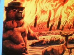 SMOKEY BEAR Only You Can Prevent FOREST FIRES SIGN – Deer Cub Fawn Watching Fire