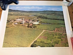 1966 USDA America The Beautiful 5 Poster Lot 24×20 Print Photo Vintage Landscape
