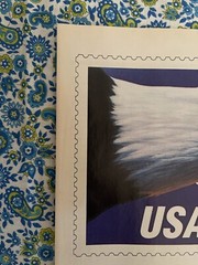 Vintage 1988 USPS United States Postal Service Express Mail Print Ad Eagle