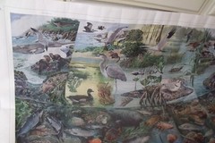 Vintage Environmental Protection Agency EPA ESTUARIES SCENES POSTER 38″ BY 25″