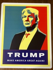 PRESIDENT DONALD J. TRUMP 8.5″x11″ Print Page on Card Stock Ready to Frame — YA