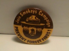 JOIN SMOKEY BEAR SMOKEYS CAMPAIGN PREVENT FOREST FIRES PARK SERVICE YELLOW PIN
