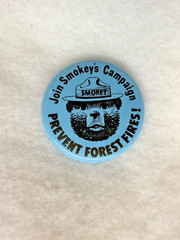 JOIN SMOKEY BEAR SMOKEYS CAMPAIGN PREVENT FOREST FIRES NPS Blue PIN BUTTON