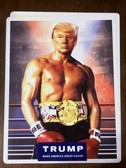 PRESIDENT DONALD J. TRUMP 8.5″x11″ Print Page on Card Stock Ready to Frame — BX