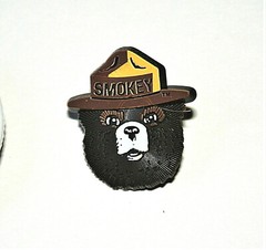 2 Smokey The Bear & Friends Prevent Forest & Wildfires Pin Button NOS New 2000’s