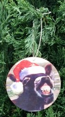 (3) SET OF 3 ASPEN WOOD ORNAMENTS (3″ DIAMETER) DOMINIC THE ITALIAN DONKEY ASS