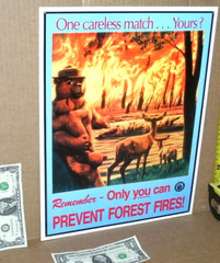 SMOKEY BEAR Only You Can Prevent FOREST FIRES SIGN – Deer Cub Fawn Watching Fire