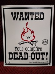 WANTED Your Campfire Dead-Out, 70’s Era Forest Service Sign 12″x10″ Vinyl