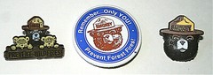 3 Smokey The Bear & Friends Prevent Forest & Wildfires Pin Button NOS New 2000’s
