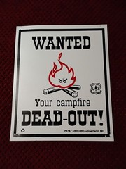 WANTED Your Campfire Dead-Out, 70’s Era Forest Service Sign 12″x10″ Vinyl