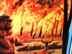 SMOKEY BEAR Only You Can Prevent FOREST FIRES SIGN – Deer Cub Fawn Watching Fire