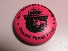 JOIN SMOKEY BEAR SMOKEYS CAMPAIGN PREVENT FOREST FIRES PARK SERVICE PINK PIN