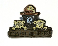2 Smokey The Bear & Friends Prevent Forest & Wildfires Pin Button NOS New 2000’s
