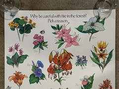 Vintage 1977 Smokey Bear «Why be careful with fire in the forest?