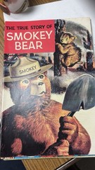 Vintage 1969 FULL COLOR 20-PAGE TRUE STORY OF SMOKEY BEAR COMIC BOOK UNGRADED