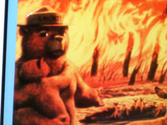 SMOKEY BEAR Only You Can Prevent FOREST FIRES SIGN – Deer Cub Fawn Watching Fire