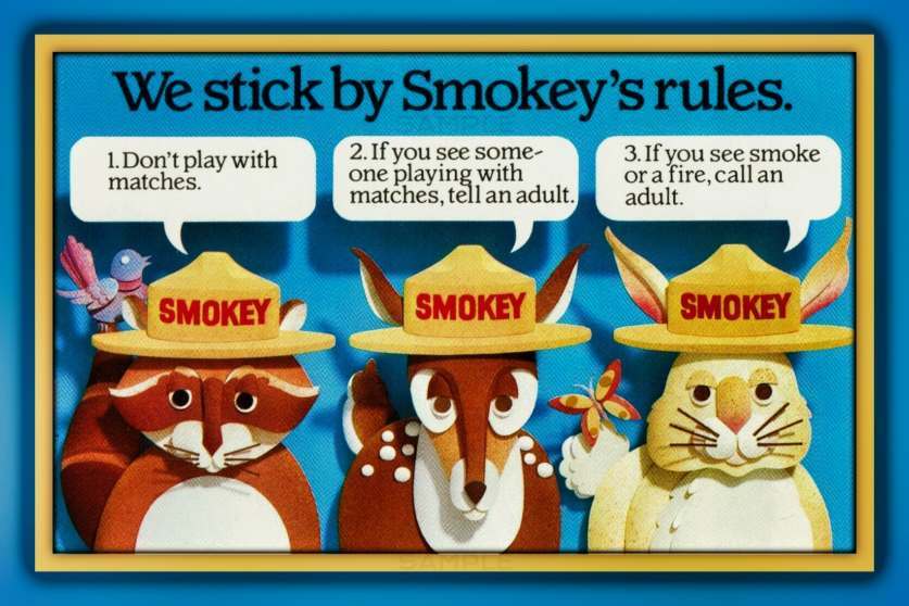 SMOKEY BEAR RULES! 8×12 METAL SIGN IN ORIGINAL CELLOPHANE SLEEVE FOREST SERVICE