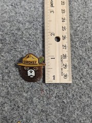 Classic Smokey The Bear Face In Ranger Hat Wildfires Pin Button New 2000’s
