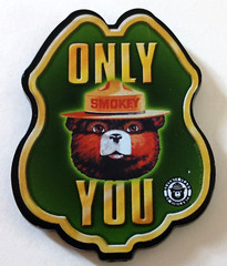 3 Smokey The Bear Prevent Forest Stickers + Badge NOS New 2000s
