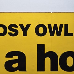 Vintage USDA Woodsy Owl Sticker Decal Give A Hoot Don’t Pollute Unused 80s