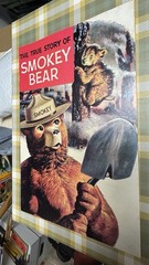 Vintage 1969 FULL COLOR 20-PAGE TRUE STORY OF SMOKEY BEAR COMIC BOOK UNGRADED