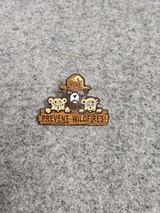 Smokey The Bear & Friends Plastic Prevent Wildfires! New 2000’s Forest Fires