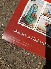 1981 USPS United States Post Office Lobby Poster Desert Plants 18 Cent Stamp