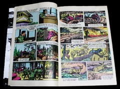 THE TRUE STORY OF SMOKEY THE BEAR COMIC BOOKLET BROCHURE 1969 VINTAGE