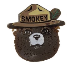 Classic Smokey The Bear Face In Ranger Hat Wildfires Pin Button