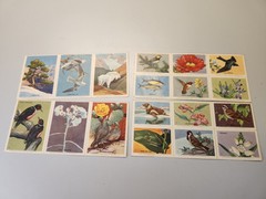 1952 National Wildlife Conservation Stamp Sheets, 36 Animal Stamps