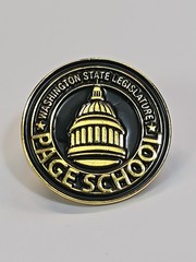 Washington State Legislature Lapel Pin Page School