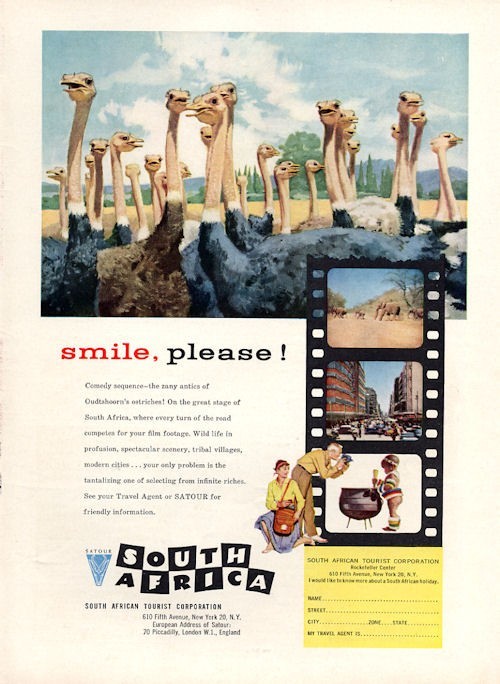1958 South Africa PRINT AD Tourist Corp Ostrich Flock ART Great Vintage Photo Ad
