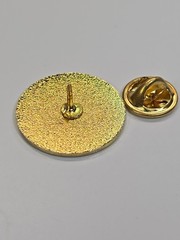 Washington State Legislature Lapel Pin Page School