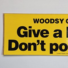 Vintage USDA Woodsy Owl Sticker Decal Give A Hoot Don’t Pollute Unused 80s