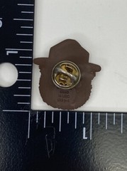 Classic Smokey The Bear In Ranger Hat Plastic Lapel Pin Button
