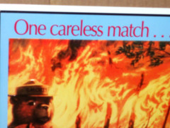 SMOKEY BEAR Only You Can Prevent FOREST FIRES SIGN – Deer Cub Fawn Watching Fire